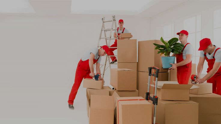 What to Look for in Top-Rated Movers and Packers