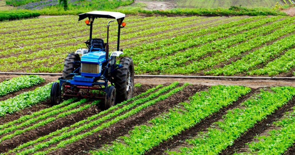 Colombia Agriculture Market