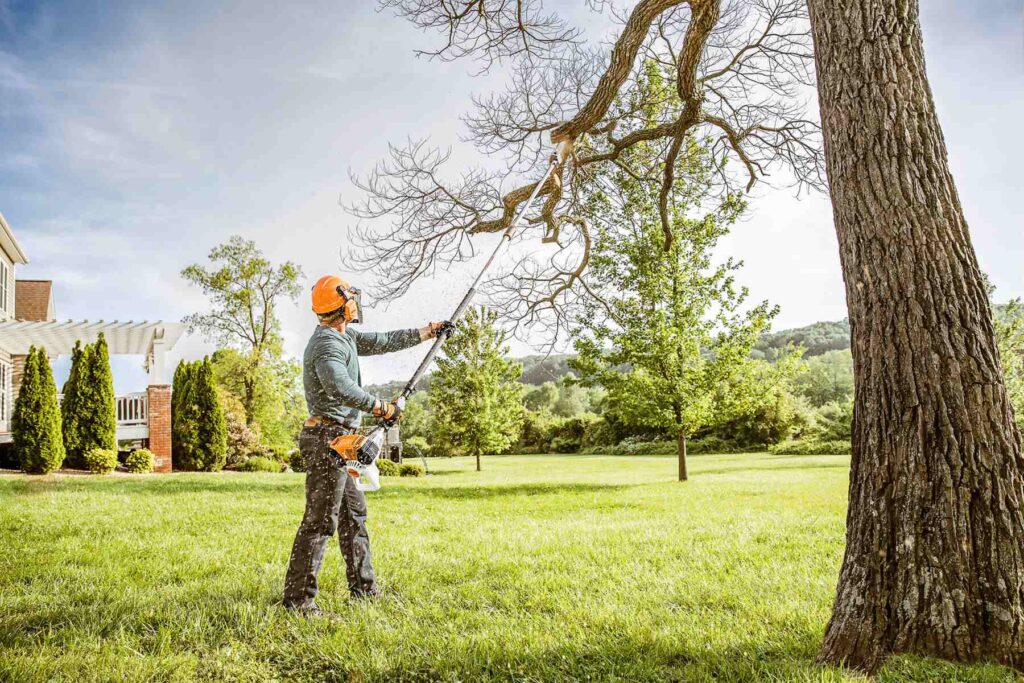 Tree care services