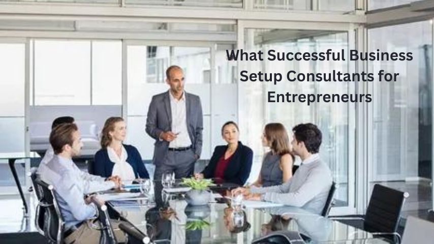 What Successful Business Setup Consultants for Entrepreneurs