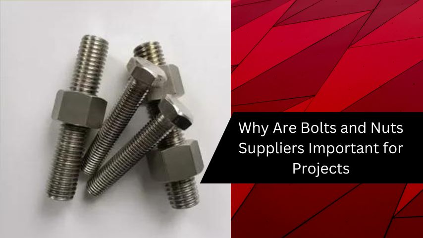 Why Are Bolts and Nuts Suppliers Important for Projects