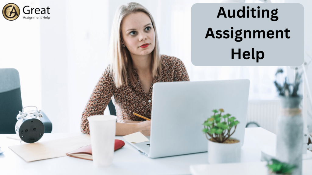 Auditing Assignment Help