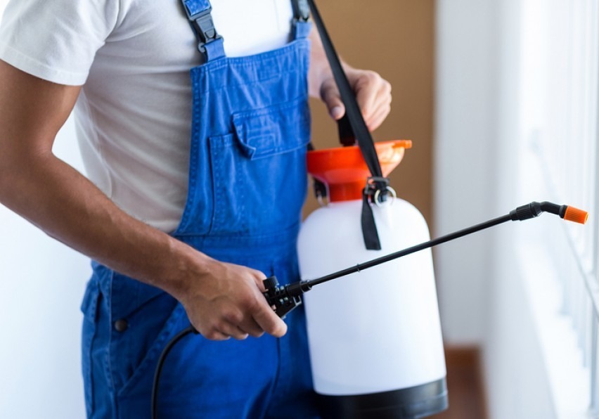 Effective Pest Control Services in Udaipur: Ensuring a Safe and Hygienic Environment